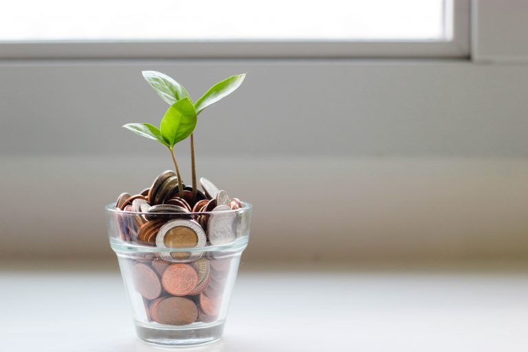 plant in a glass of coints representing financial growth
